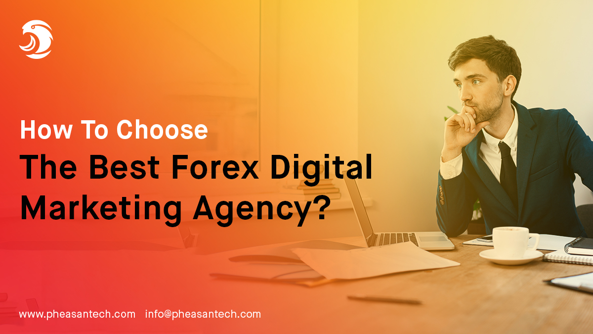 How To Choose The Best Forex Digital Marketing Agency Pheasantech How To Choose The Best Forex Digital Marketing Agency Pheasantech