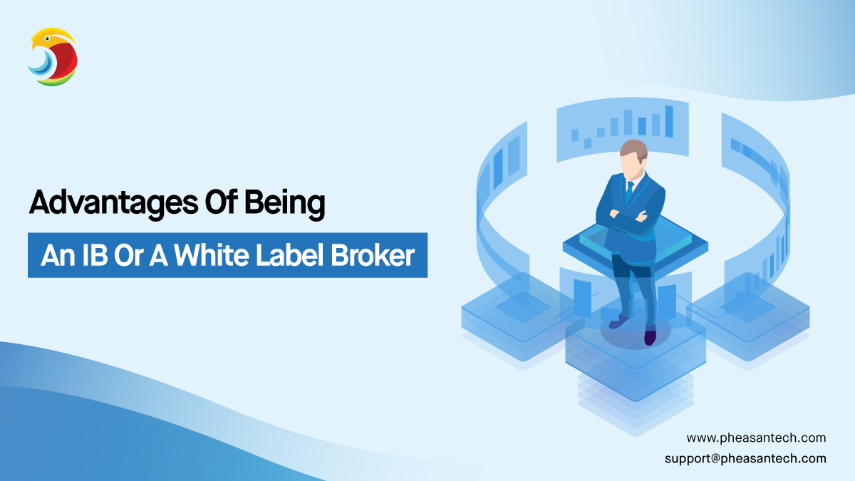 Advantages of being an IB or a White Label Broker